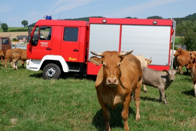 Das MLF auf einer Kuhweide in 2019
