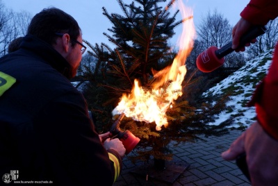 stadt_aktivitaeten_2017/2017_brennenderWeihnachtsbaum_017.jpg